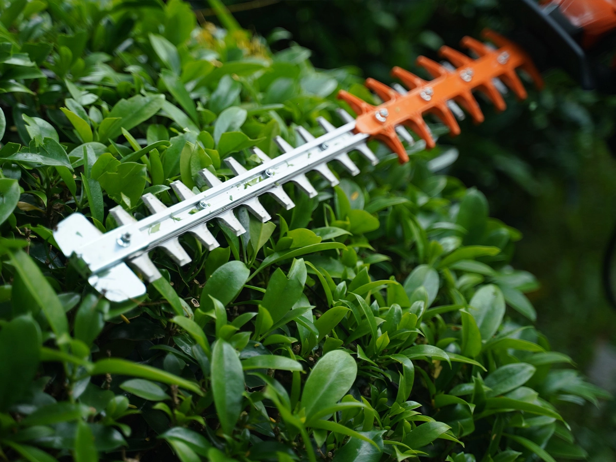 hedg-trimmer-5