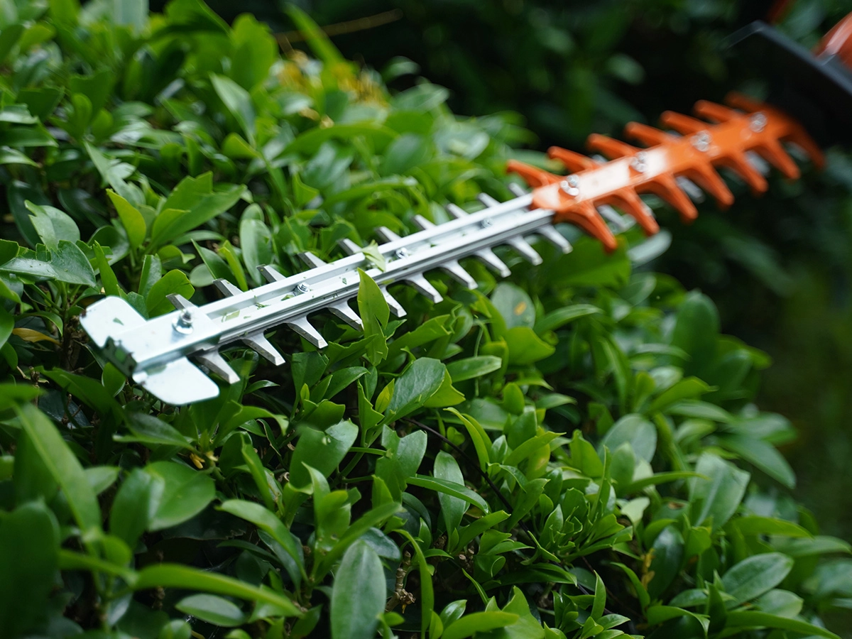 hedg-trimmer-8
