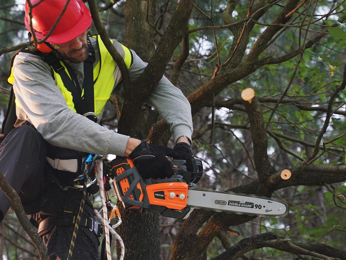 top-handle-chainsaw-4